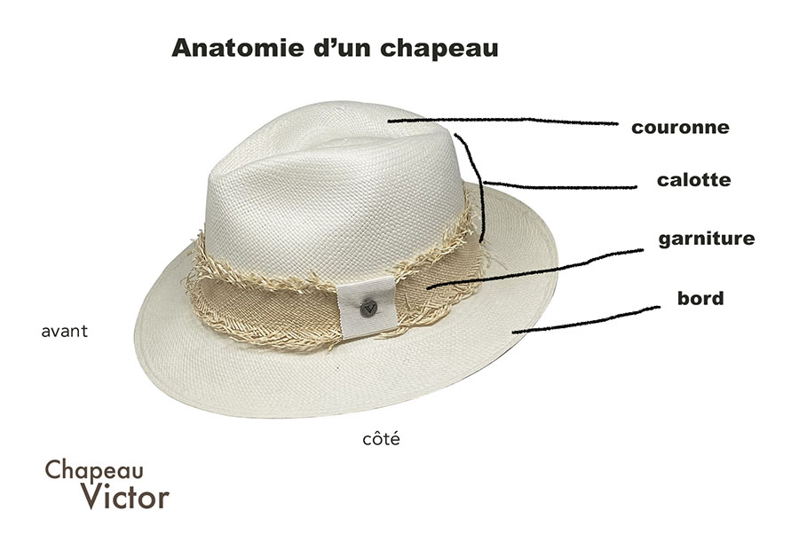 anatomie du chapeau